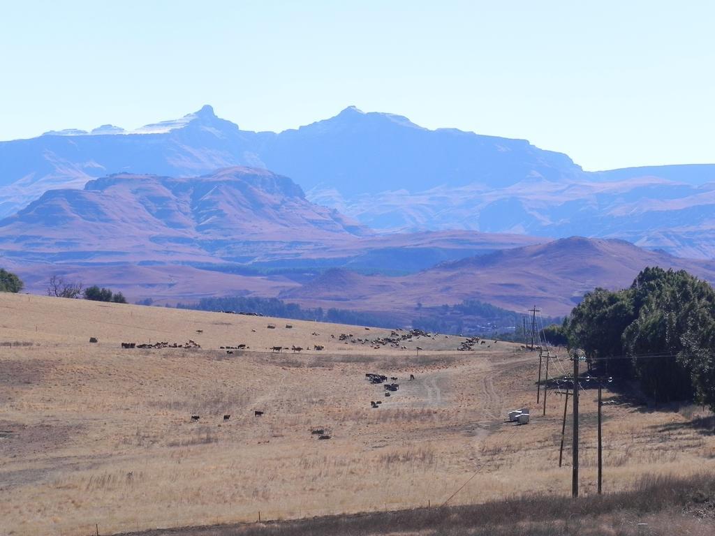 J&B Lodge Underberg Exterior foto